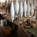 Il fantastico mercato del pesce essicato